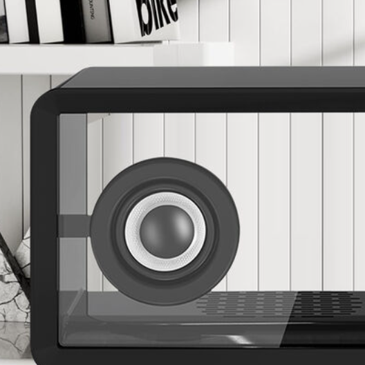 Transparent Bluetooth Speaker