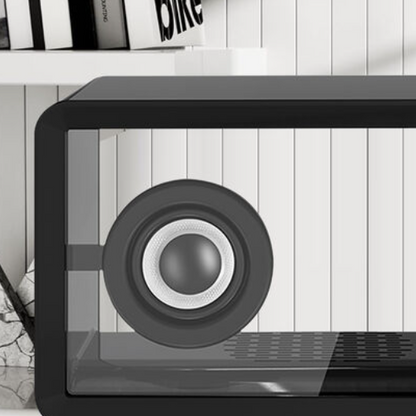 Transparent Bluetooth Speaker